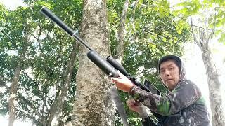 hunting day...alimokon bird/ using PCP tactical airgun