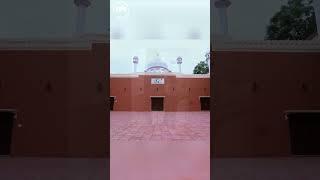 Do you know when the 26th Jalsa Salana occurred? #shorts