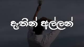 Dathin Allan Lyrics Video | දෑතින් අල්ලන් | Lashan Herath | Lyrics Com LK ඉතින් මන් ආසම මල