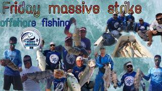 Offshore fishing massive strike 8 Grouper,4 Queenfish,1 Kingfish,2Flathead& trevalley