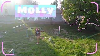 Molly | ПРЕМЬЕРА КЛИПА | Собачка Molly и её хозяйка | VLADA STAF