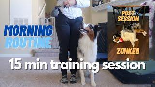 My Australian Shepherd's Morning Routine: 15 Min Obedience Training | AstroFromTheBlue