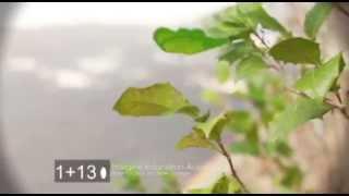 Oscar Codoceo / Motion Graphics Reel 2013