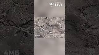 Знайшли й знищили!