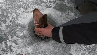 3 Ways of Ice Fishing! Catch Bluegill, Bass, and Pike