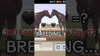 Breeding In Rival Stars Horse Racing 100 Foal Challenge Day 12 +=? #rivalstarshorseracingbreeding