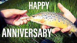 Fishing for Trout, Celebrating Cast North Angling 2nd anniversary!