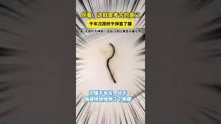 将其清理修复后，上面的文字清晰可见。#海昏侯墓 #汉简 #文物修复 #趣说文物