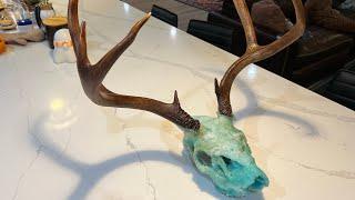 Dead head deer skull borax crystals