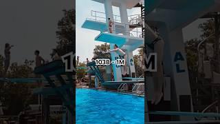 103B 1 Meter Diving - Nathan - MRDC RIPFEST