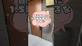 【内見】1.5階部分があるアパートってホントにあるの？#shortvideo #shorts #short #ルームツアー #賃貸