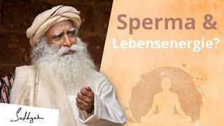 Der Zusammenhang zwischen Spermien und Lebensenergie | Sadhguru