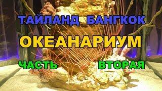 45 серия.2часть.Таиланд. ОКЕАНАРИУМ В БАНГКОКЕ. Тропический лес.Змея ест мышь.Пингвины.Лягушки.Выдры