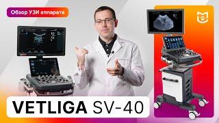 Обзор ветеринарного УЗИ аппарата VETLIGA SV-40