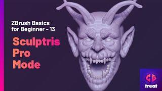 ZBrush Basics for Beginners - 13 - Sculptris Pro Mode