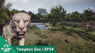 White Siberian Tiger Habitat | Tampton Zoo EP24 | Planet Zoo