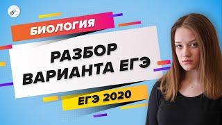 ЕГЭ2020. БИОЛОГИЯ. «Решение варианта ЕГЭ по биологии»