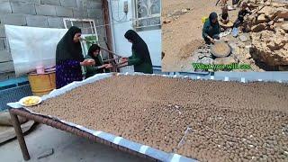 Making oak tree bread by nomadic women | Nomadic lifestyle in Iran 2023