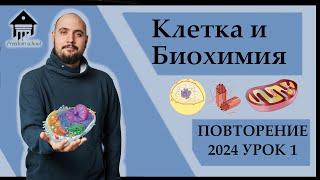 ОТКРЫТЫЙ Урок 1. Клетка и Биохимия. КУРС ПОВТОРЕНИЯ 2024 |ЕГЭ БИОЛОГИЯ 2024|Freedom|