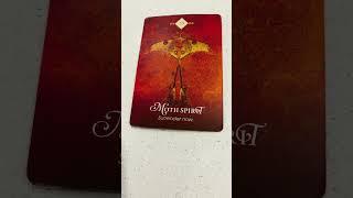 #556 Gemini - Spirit Animal Oracle Message