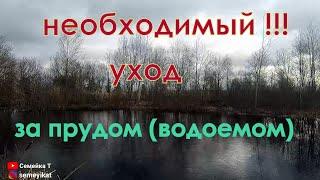 Пруд на даче. Уход за своим  прудом! Как умирает пруд и изчезает рыба. Свой пруд. Пруд на участке.