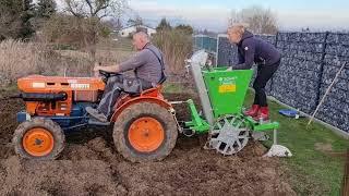 Kartoffeln legen mit Kubota B7001