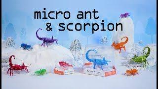 HEXBUG Micro Ant & Scorpion Commercial