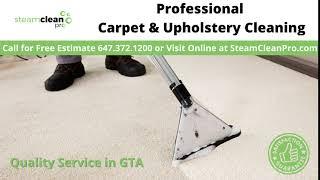 Professional Carpet Cleaning in GTA