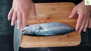 acorn fish - how to clean the bonito fish - how to cook acorn