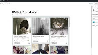 How to add a social media feed to WordPress