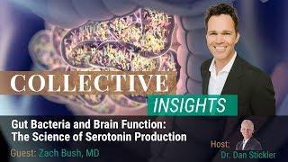 Gut Bacteria and Brain Function: The Science of Serotonin Production with Zach Bush, MD