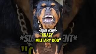 UFC Fighter vs MILITARY DOG  #ufc #mma