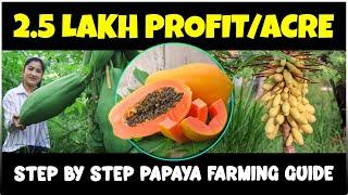 Papaya Farming: Complete Guide | Varieties, Planting, Care, Harvesting, Marketing