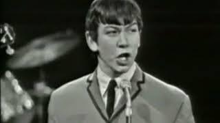 Animals - House Of The Rising Sun - Tv Show 1964