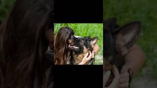 This woman slept with her dog every night. #story #quote #stories #dogs