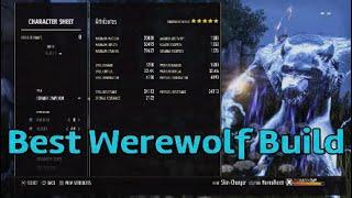 ESO - Maybe the best werewolf spec in pvp?