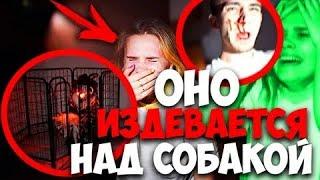 КЛОУН УДАРИЛ САШУ В НАШЕМ ДОМЕ НОЧЬЮ 3:00 ОНО ПУГАЕТ СОБАК В КЛЕТКЕ! ПАРЕНЬ ПОДРАЛСЯ С КЛОУНОМ!