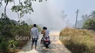 Goan Reporter:: Main Selaulim water pipeline from Selaulim to Vasco busted at Paroda.Water Wasted