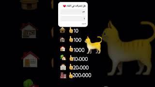 ساعد القطه 