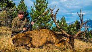 Deer Hunt New Zealand - Охота на оленя в Новой Зеландии