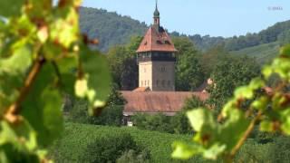 Weinbau in Deutschland