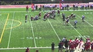 Bo Palmer SFU Football Highlights - 2012 CFL Draft Prospect