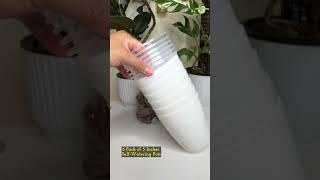 Let’s Unbox my Favorite Self-Watering Pots for Indoor Plants #thegreenearth #youtubeshorts #shorts