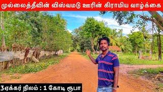 விஸ்வமடு ஊரின் கிராமிய வாழ்க்கை | village Life | Mullaitivu | Jaffna Suthan