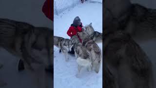 Туры в Мурманск, на Кольский полуостров