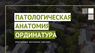 Патологическая анатомия. Программы ординатуры СПбГПМУ