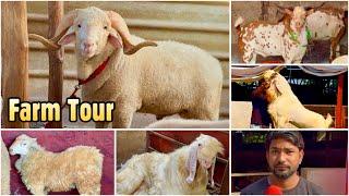 Samaya Goat Farm Mahapoli | Full Farm Tour | Palai Open |  Book New Cages