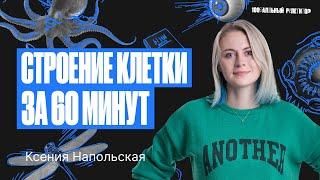 Строение клетки за 60 минут. Подготовка к ЕГЭ по биологии 2024