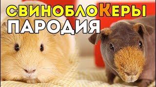 ПЕСНЯ ПАРОДИЯ SvinkiShow – СВИНО БЛОКЕРЫ