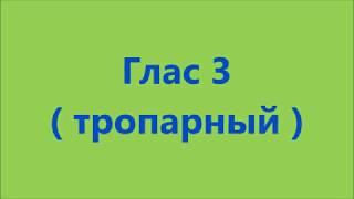 Глас 3 ( тропарный )